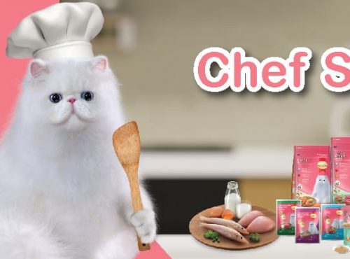 SHC-Chef-Banner-1280-x-400